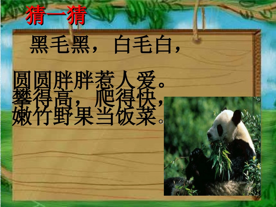 给动物设计名片3_第2页