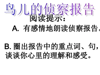 （北师大版）五年级语文课件鸟儿的侦察报告