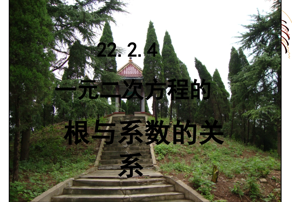 《一元二次方程的根与系数的关系》课件_第1页