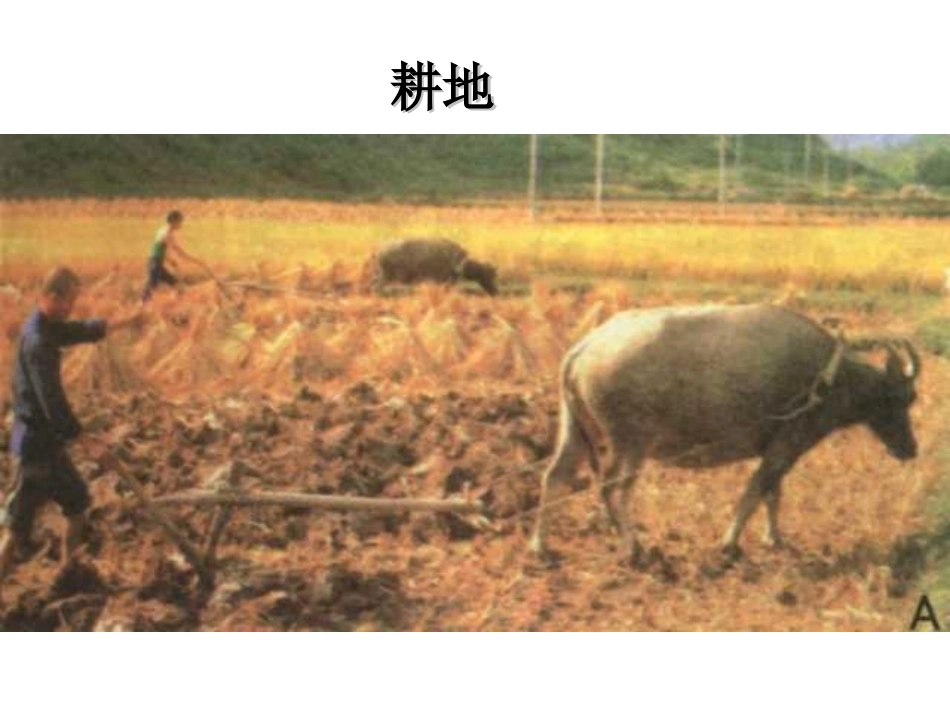 以种植业为主的农业地域类型精品_第2页