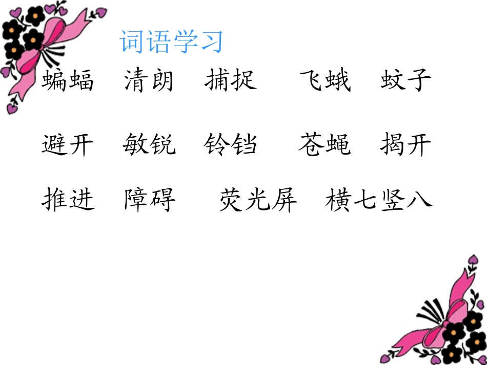 《蝙蝠和雷达》_第2页