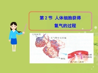 生物：_第10章_第2节_人体细胞获得氧气的过程课件_(北师大版七年级下)
