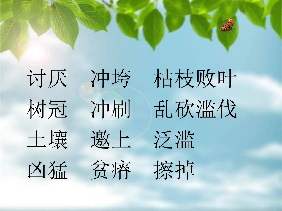 云雀的心愿课件_第2页