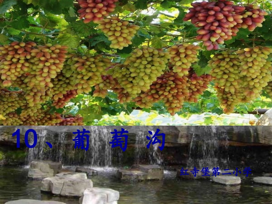 葡萄沟课件3_第1页