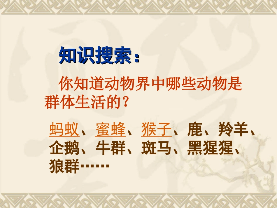 社会行为课件_第2页