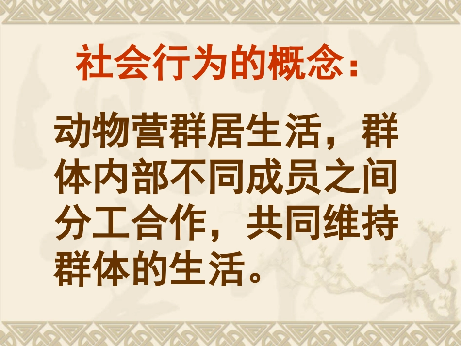 社会行为课件_第3页