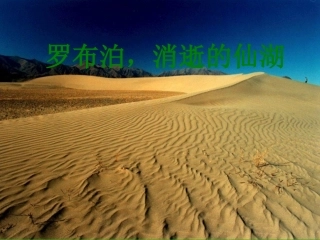 罗布泊李明旭