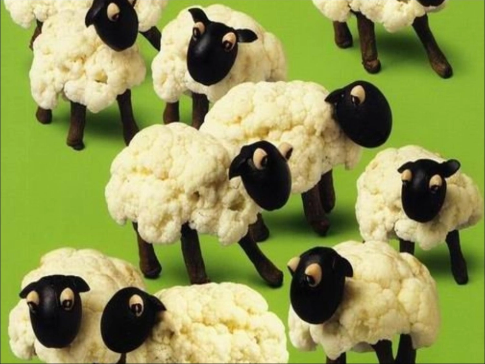 陈述句变一般疑问句_肯定句变否定句_第2页