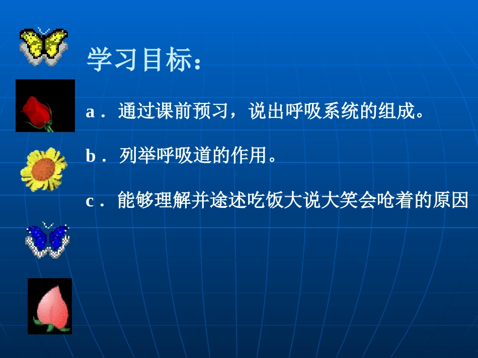 呼吸道对空气的处理课件_第2页