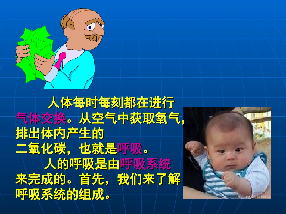 呼吸道对空气的处理课件_第3页