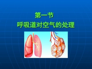呼吸道对空气的处理课件