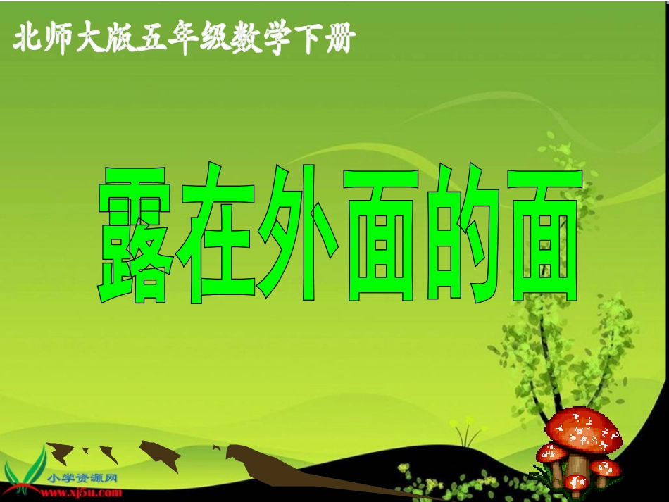 露在外面的面2课件_第1页