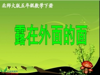 露在外面的面2课件