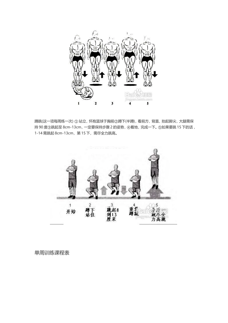 怎样快速提高你的弹跳力_第3页