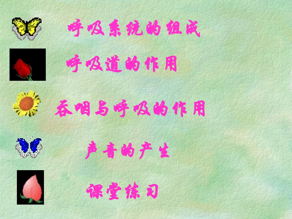 七年级生物第4单元第三章第1节呼吸道对空气的处理_第2页