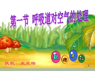 七年级生物第4单元第三章第1节呼吸道对空气的处理