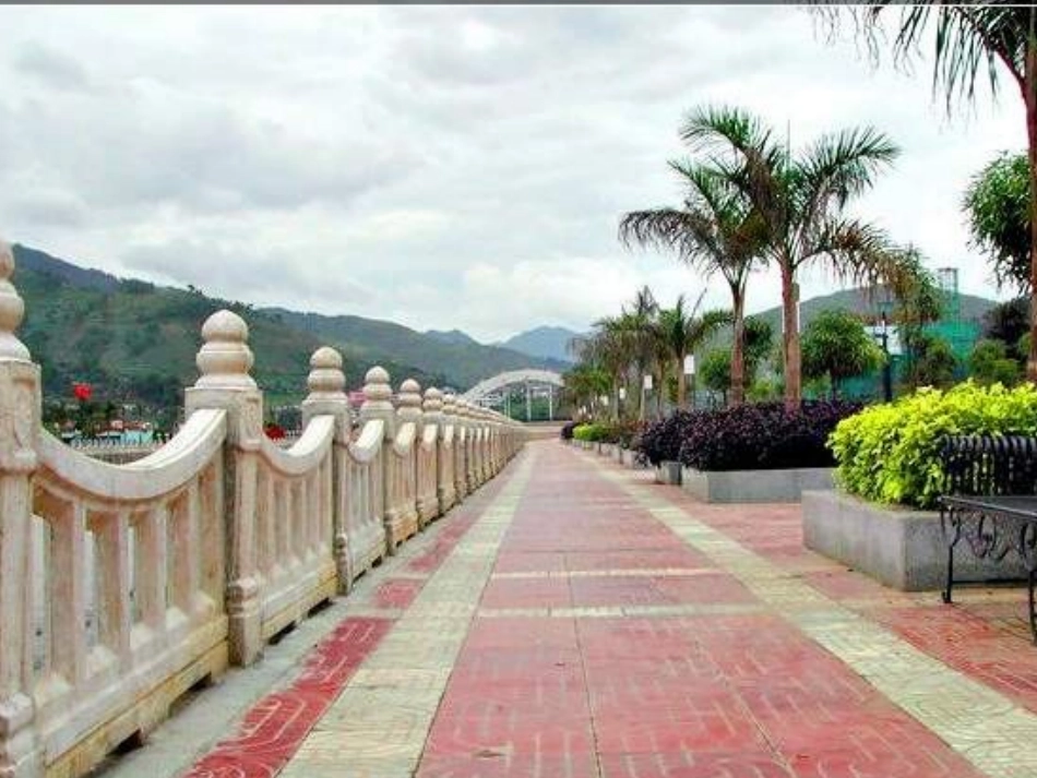 小学数学《植树问题》课件_第3页