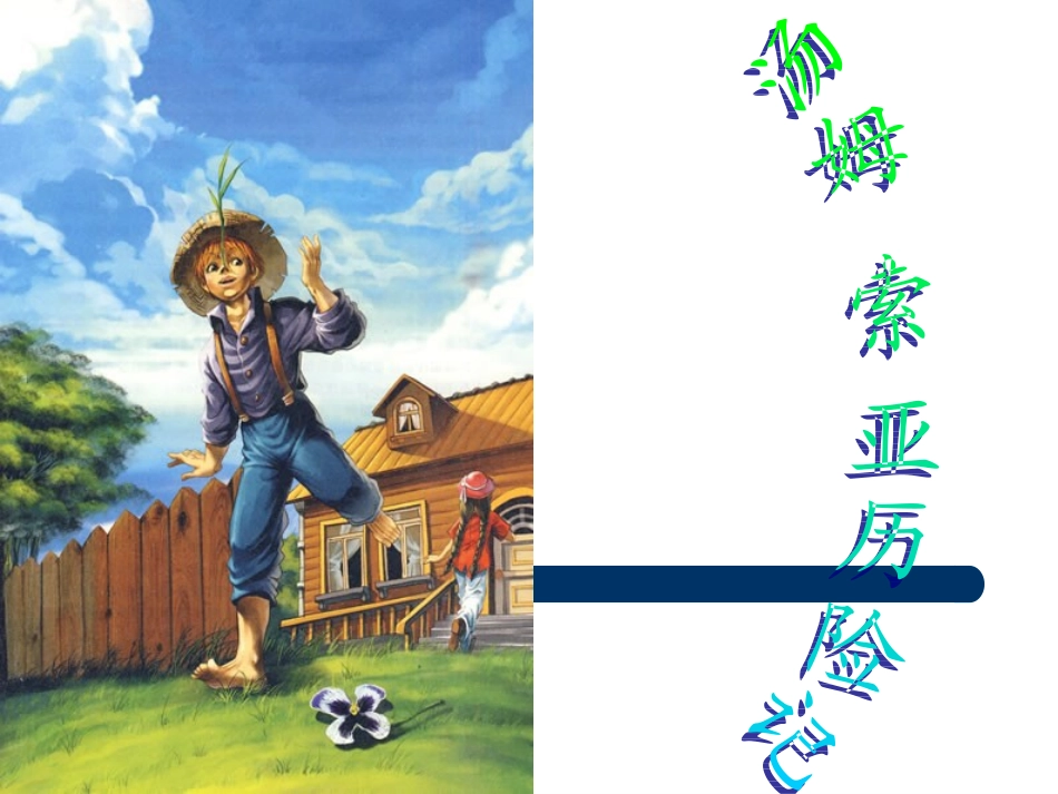 六年级下册17课《汤姆·索亚历险记》_第1页