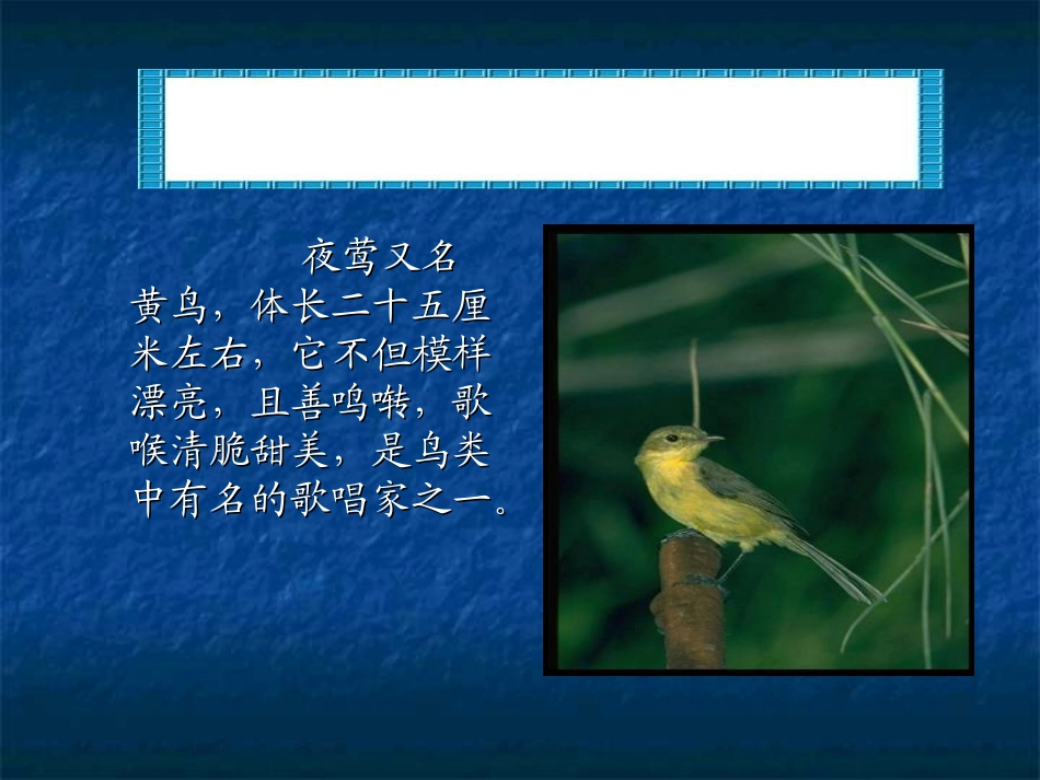 夜莺的歌声 (3)_第2页