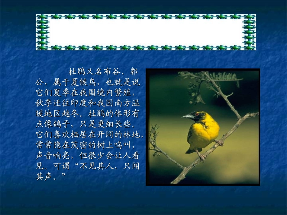 夜莺的歌声 (3)_第3页