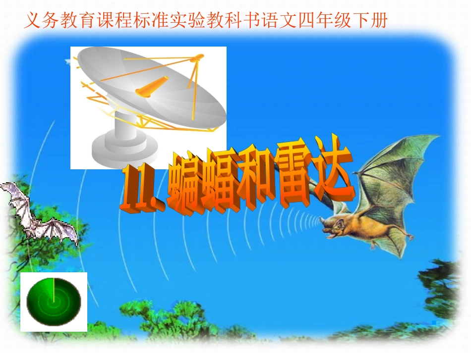 蝙蝠与雷达好(1)(1)_第1页