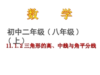 三角形的高中线与角平分线