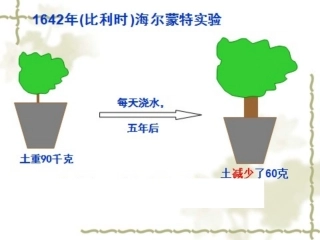 优质课定稿植物需要水和无机盐