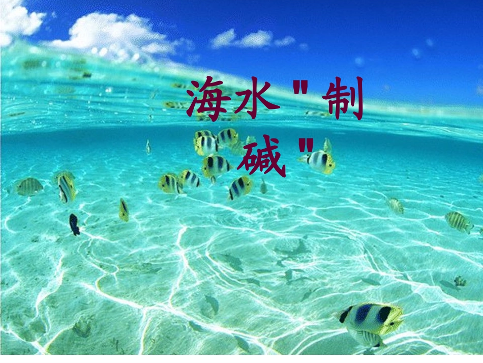 鲁教版_海水制碱-_第1页