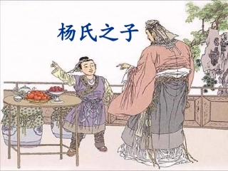 杨氏之子新课件