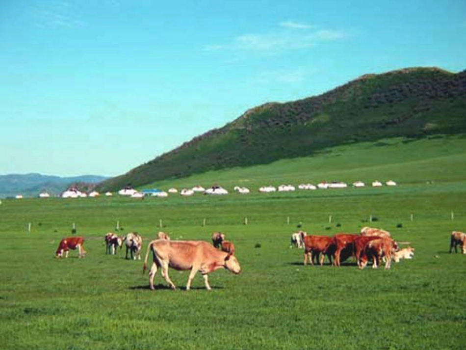 公开课草原放牧_第2页