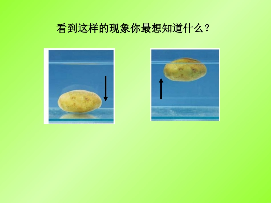 8探索马铃薯沉浮的原因2_第3页