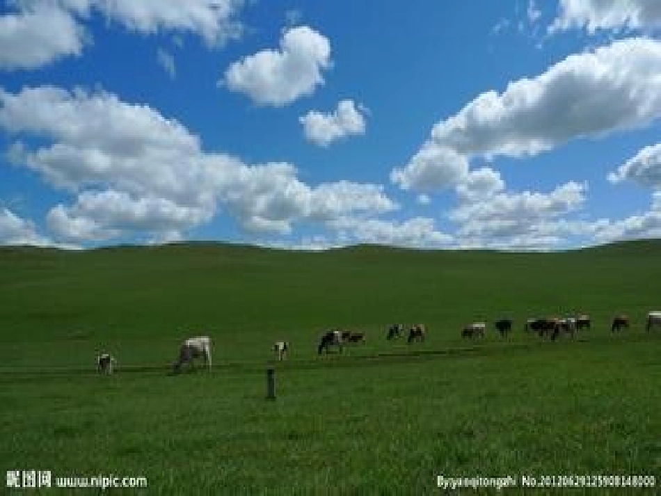 五年级语文下册第一组1草原第一课时课件_第3页