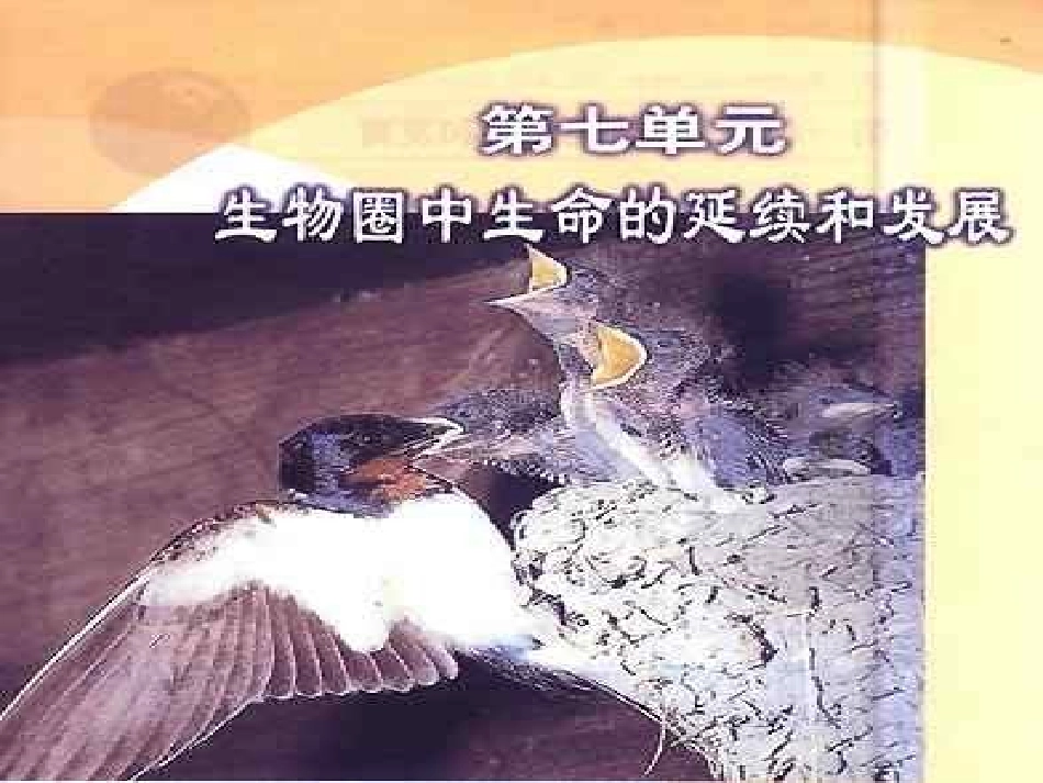 八年级生物下册_第七单元_第一章《生物的生殖和发育》第一节《植物的生殖》(第一课时)课件_新人教版_第2页