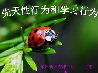 《先天性行为和学习行为》东津二中王艳敏