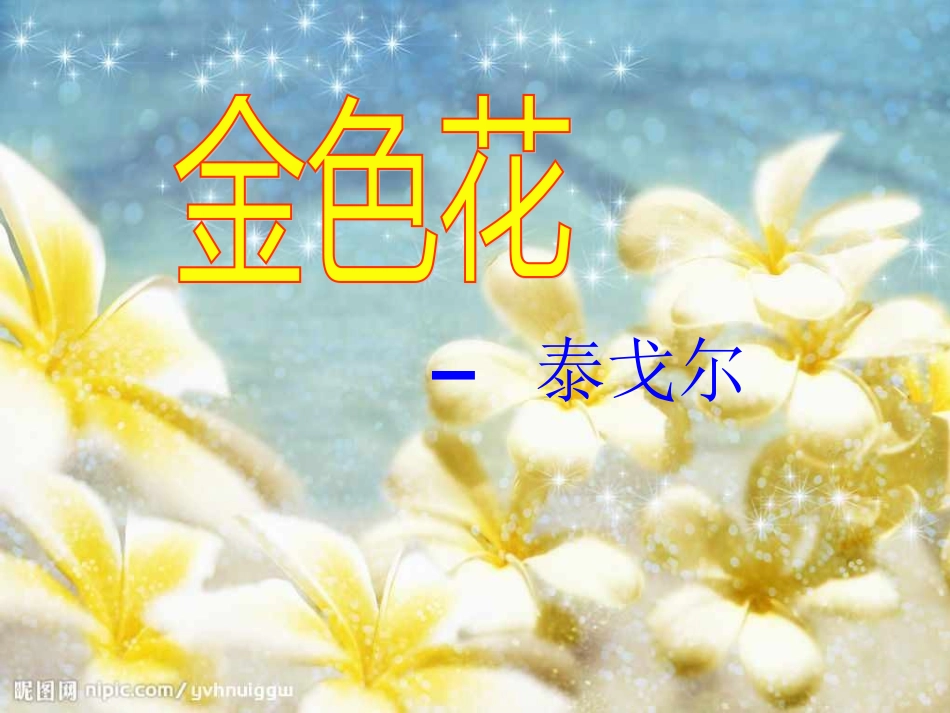 《金色花》和《荷叶母亲》_第1页