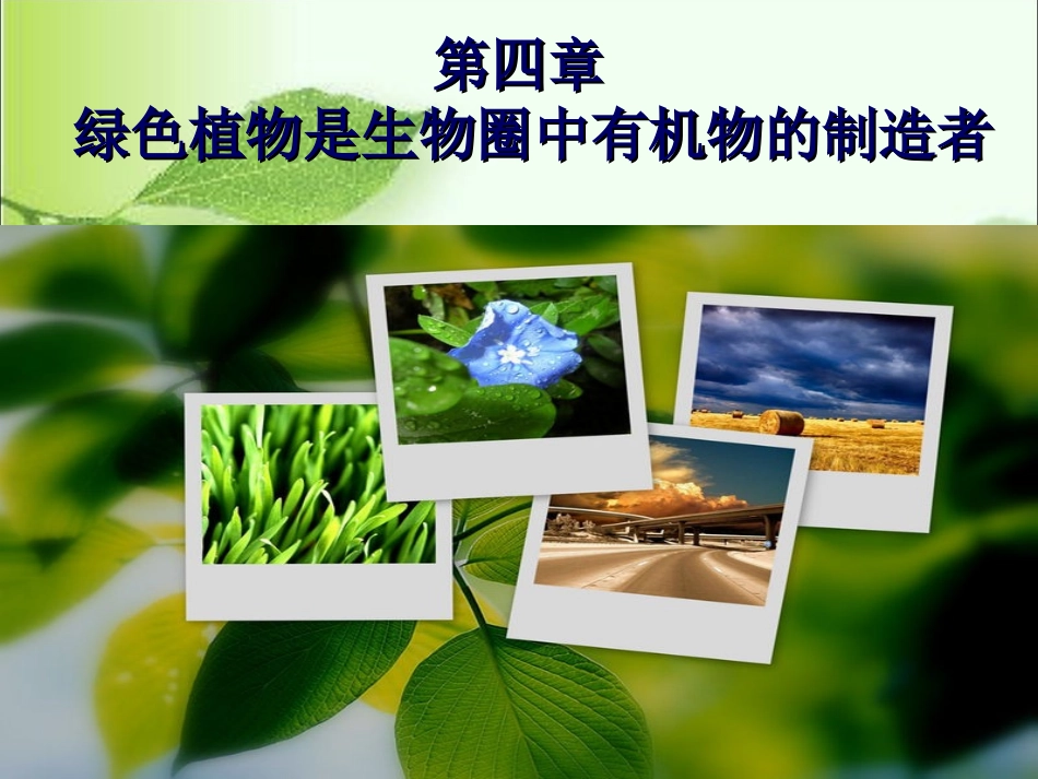 七年级上_第3单元第4章绿色植物是生物圈中有机物的制造者_第3页
