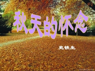 秋天的怀念PPT