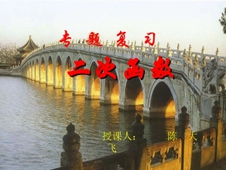 数学-陈大飞-专题复习二次函数