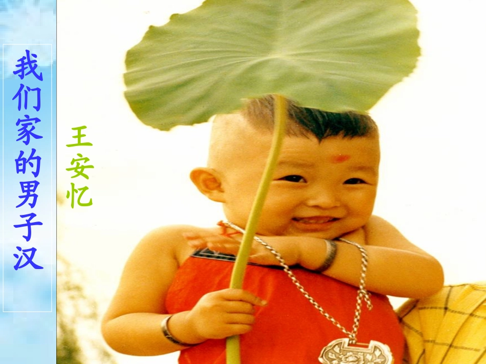 九、我们家的男子汉_第2页