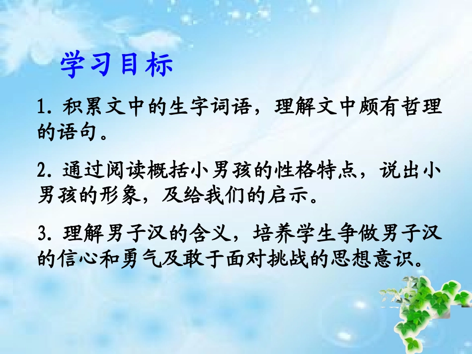 九、我们家的男子汉_第3页
