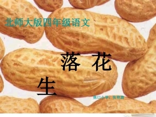 北师大版四年级语文上册_落花生课件