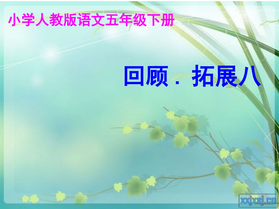 小学语文五年级下册回顾拓展八_第1页