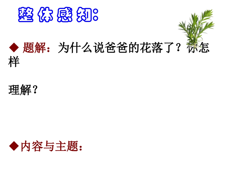爸爸的花儿落了 (4)_第2页