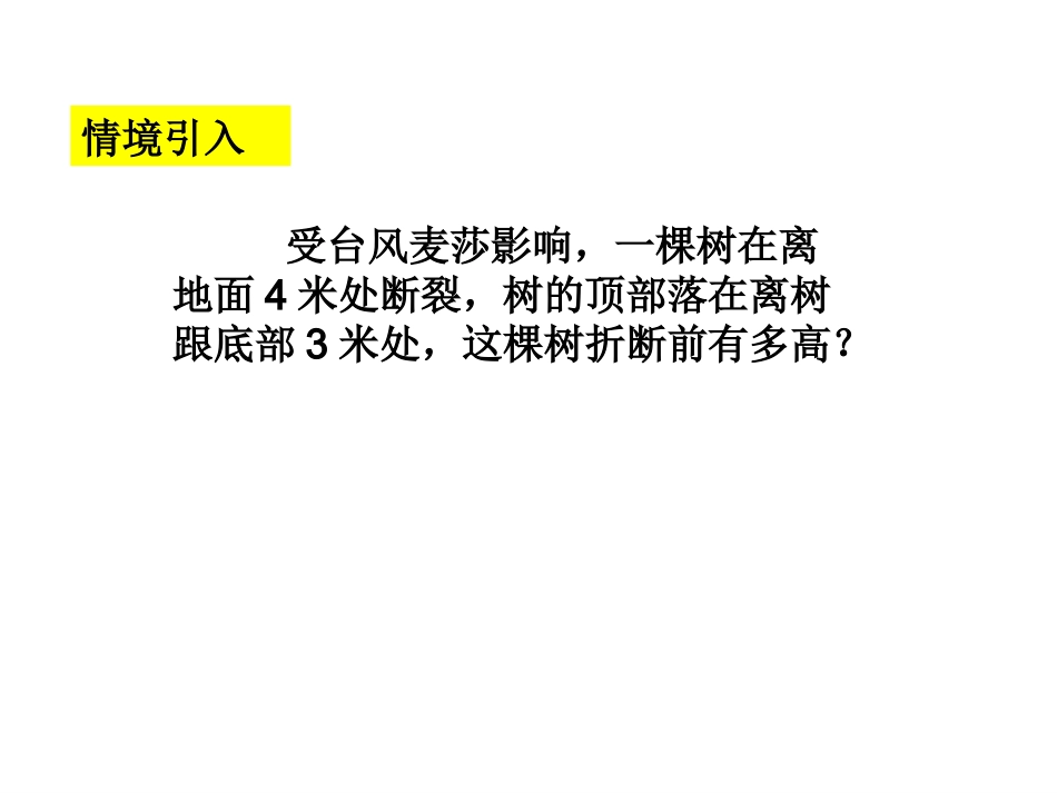 勾股定理（4）_第2页