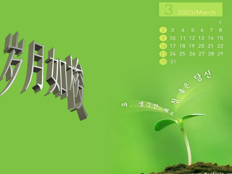 焦作师专实习生总结_第1页