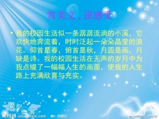 晒课句子的赏析