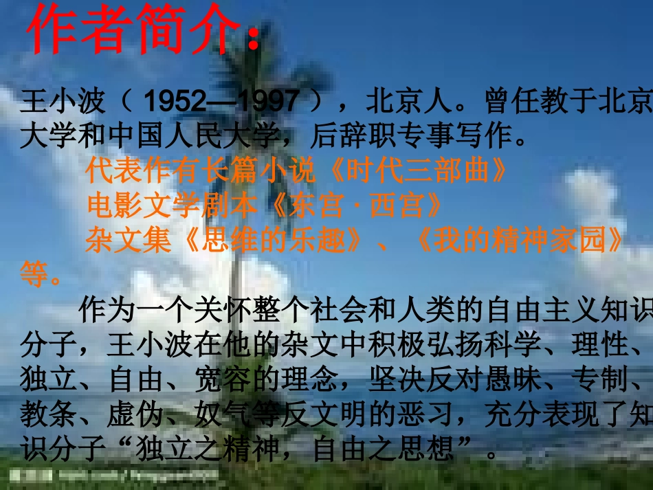 椰子树与平等课件_第2页