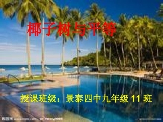 椰子树与平等课件