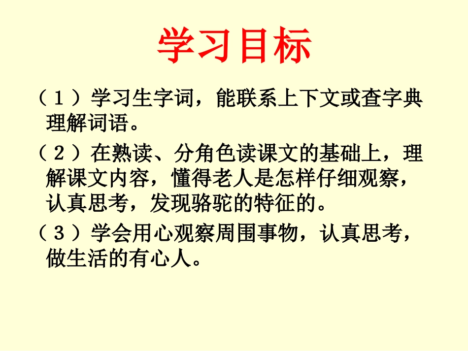 找骆驼李慧兰_第1页