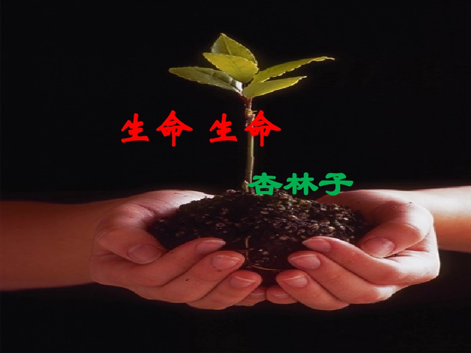 《生命生命》教学课件_第1页